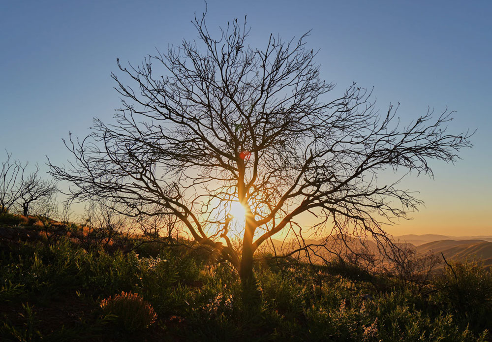 Ashburton Aboriginal Corporation